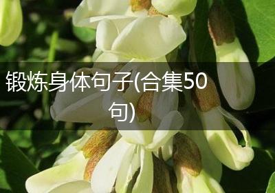 锻炼身体句子(合集50句)