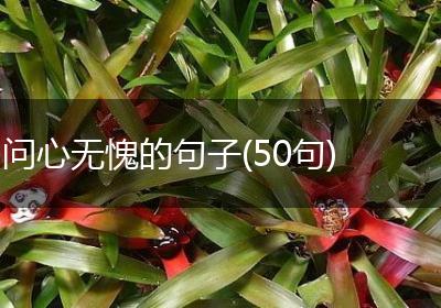 问心无愧的句子(50句)