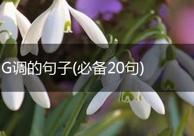 G调的句子(必备20句)