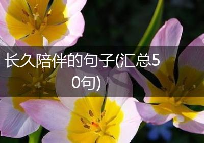 长久陪伴的句子(汇总50句)