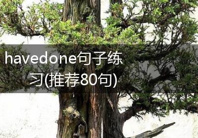 havedone句子练习(推荐80句)
