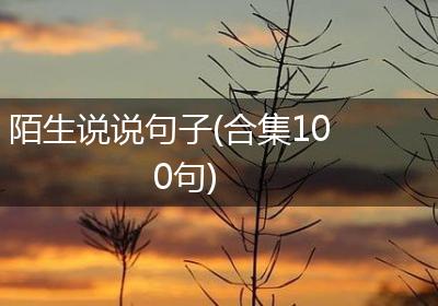 陌生说说句子(合集100句)
