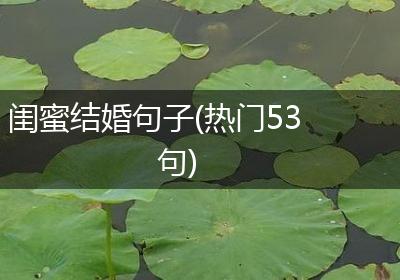 闺蜜结婚句子(热门53句)