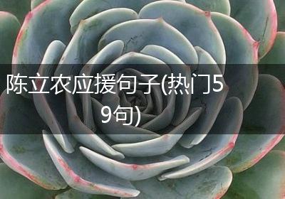 陈立农应援句子(热门59句)