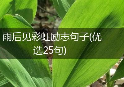 雨后见彩虹励志句子(优选25句)