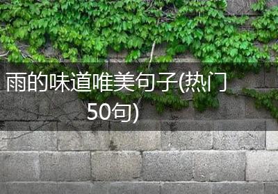 雨的味道唯美句子(热门50句)