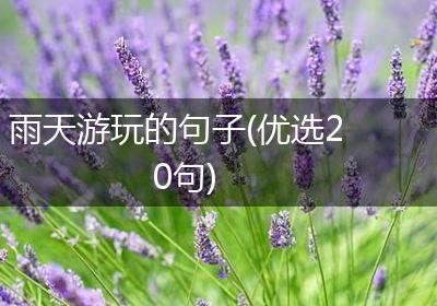 雨天游玩的句子(优选20句)