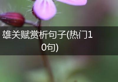 雄关赋赏析句子(热门10句)