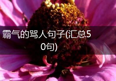 霸气的骂人句子(汇总50句)