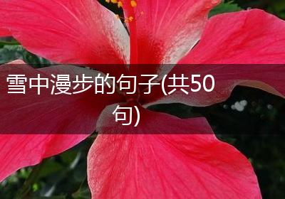 雪中漫步的句子(共50句)