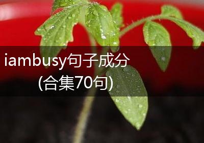 iambusy句子成分(合集70句)