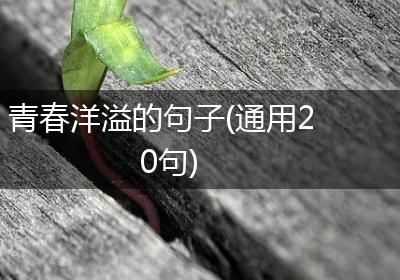 青春洋溢的句子(通用20句)