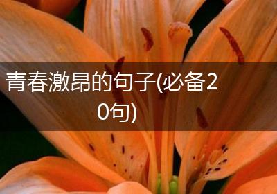 青春激昂的句子(必备20句)