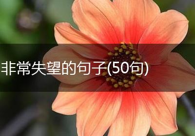 非常失望的句子(50句)