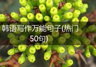 韩语写作万能句子(热门50句)