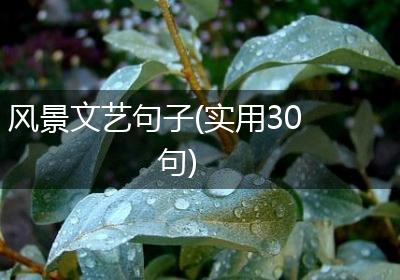 风景文艺句子(实用30句)
