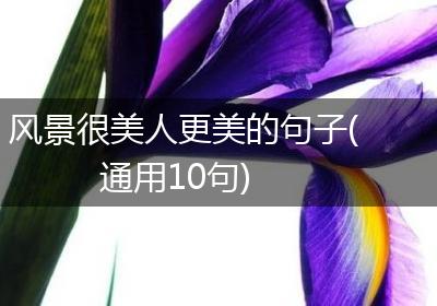 风景很美人更美的句子(通用10句)