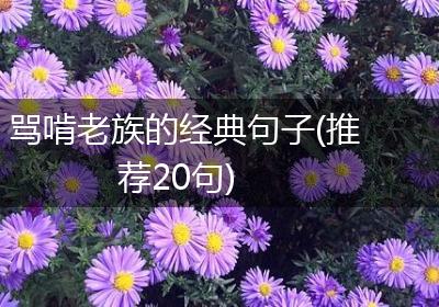 骂啃老族的经典句子(推荐20句)