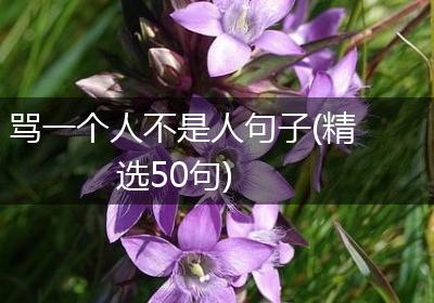 骂一个人不是人句子(精选50句)