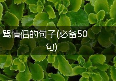 骂情侣的句子(必备50句)