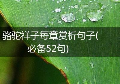 骆驼祥子每章赏析句子(必备52句)