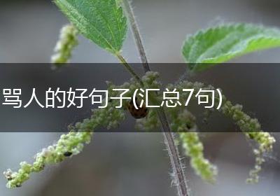 骂人的好句子(汇总7句)