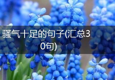 骚气十足的句子(汇总30句)