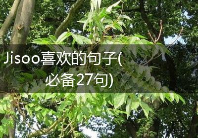 Jisoo喜欢的句子(必备27句)