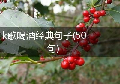k歌喝酒经典句子(50句)