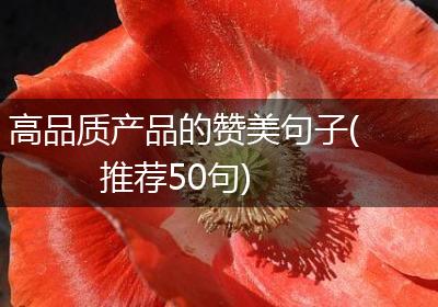高品质产品的赞美句子(推荐50句)