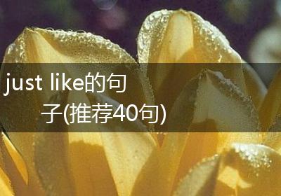 just like的句子(推荐40句)