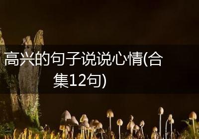 高兴的句子说说心情(合集12句)