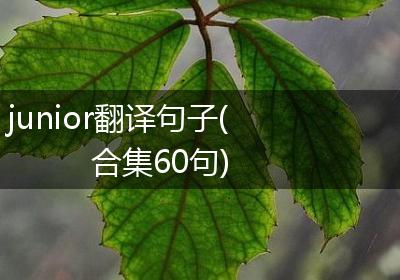 junior翻译句子(合集60句)