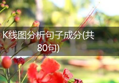K线图分析句子成分(共80句)