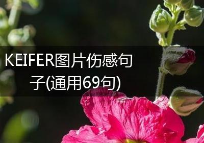 KEIFER图片伤感句子(通用69句)