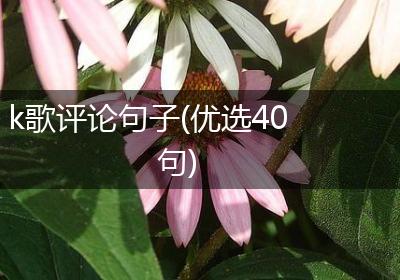 k歌评论句子(优选40句)