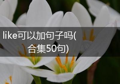 like可以加句子吗(合集50句)