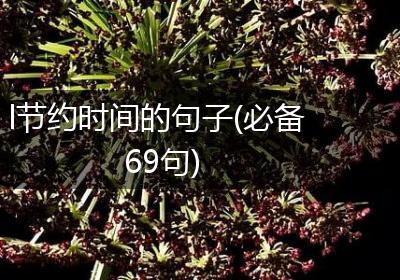 l节约时间的句子(必备69句)