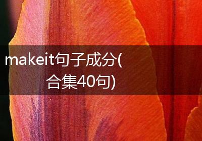 makeit句子成分(合集40句)