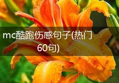 mc酷跑伤感句子(热门60句)