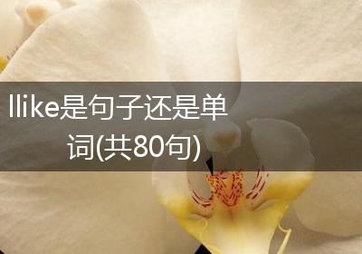 llike是句子还是单词(共80句)