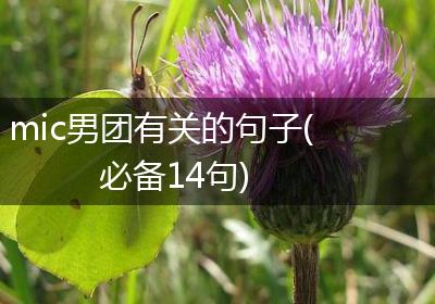 mic男团有关的句子(必备14句)
