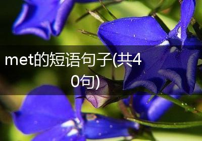 met的短语句子(共40句)