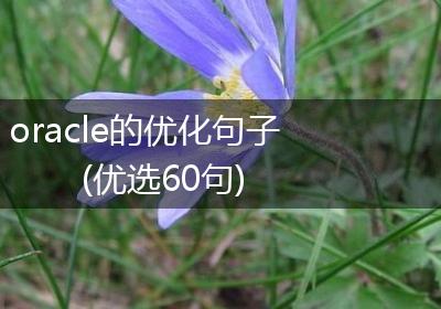 oracle的优化句子(优选60句)