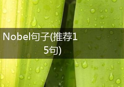 Nobel句子(推荐15句)