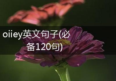 oiiey英文句子(必备120句)