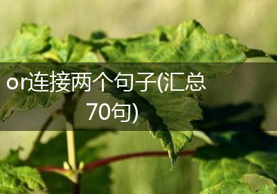 or连接两个句子(汇总70句)