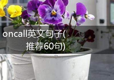 oncall英文句子(推荐60句)