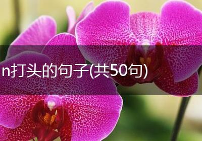 n打头的句子(共50句)
