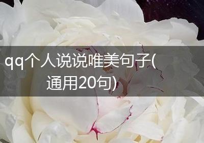 qq个人说说唯美句子(通用20句)